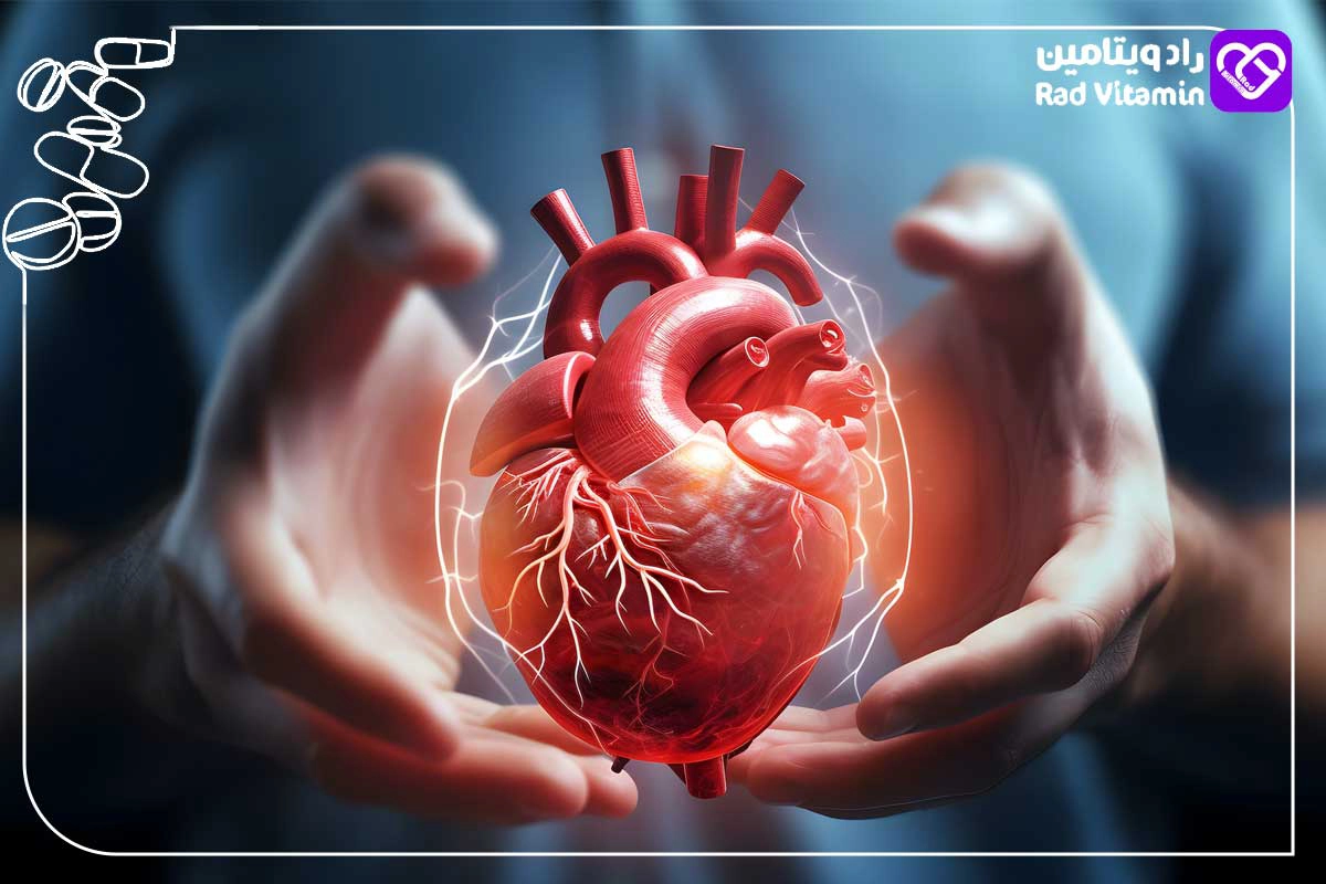 AHCC و ویتامین C 2000، D3 و زینک