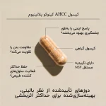 _کپسول AHCC مدل کینوکو پلاتینیوم2