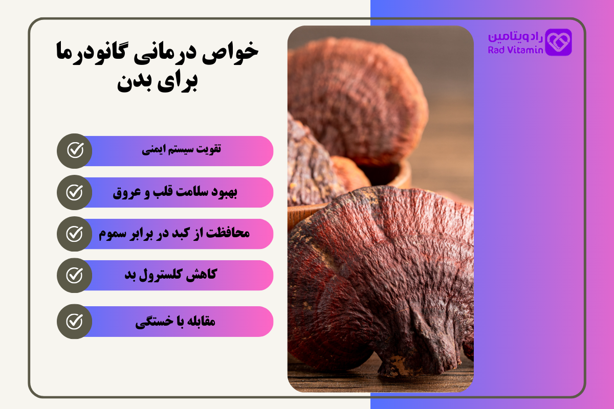 خواص درمانی گانودرما برای بدن
