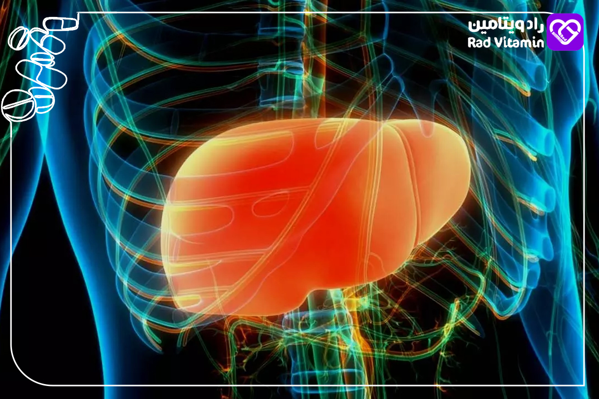 اثرات آنتی‌اکسیدانی AHCC روی کبد