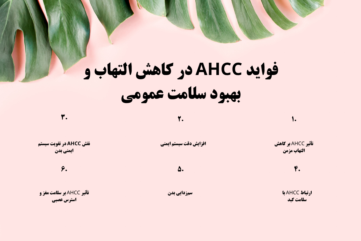 فواید AHCC در کاهش التهاب و بهبود سلامت عمومی