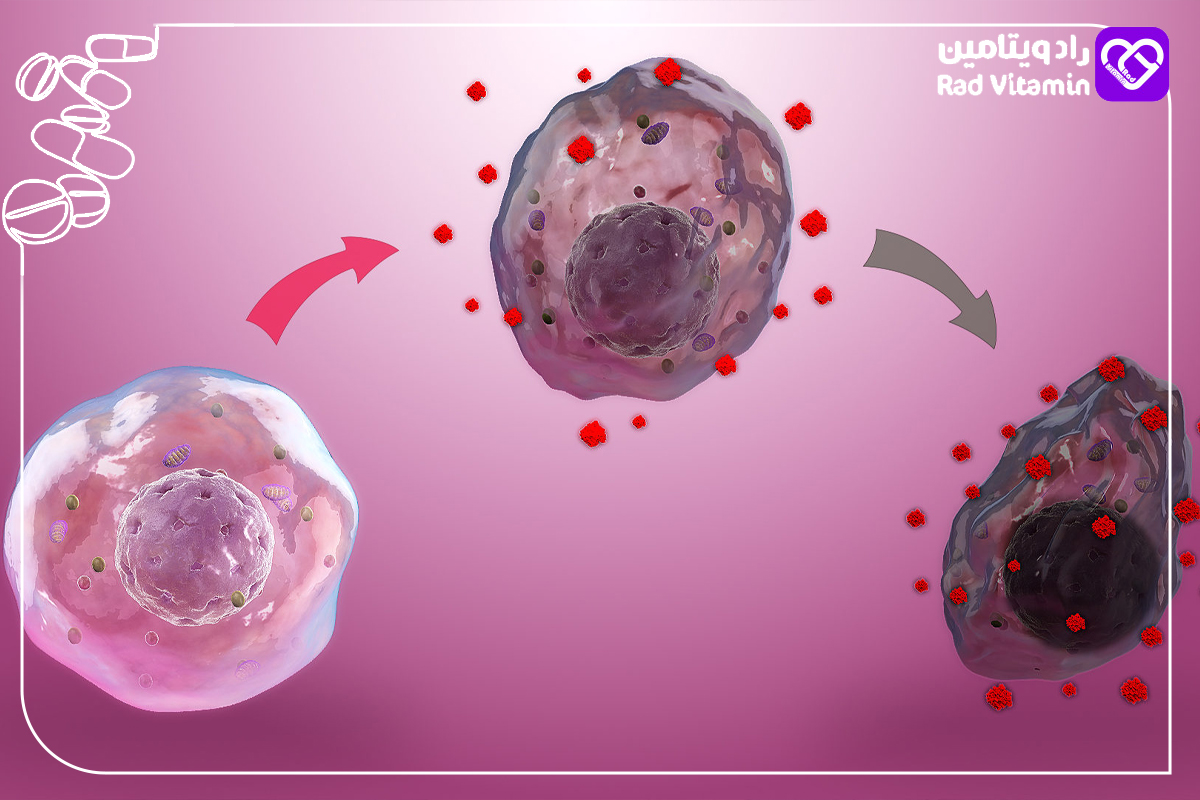 استرس اکسیداتیو 