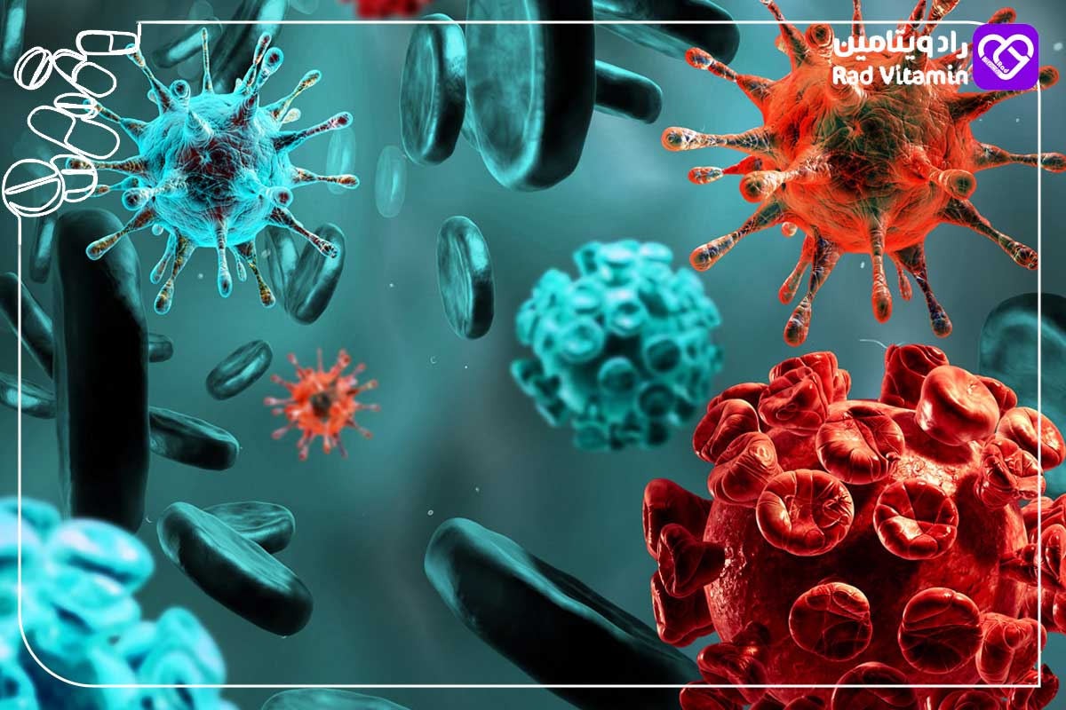 AHCC و دستگاه تنفسی: بررسی علمی تأثیر AHCC بر سلامت دستگاه تنفسی 2 فواید AHCC برای سیستم ایمنی