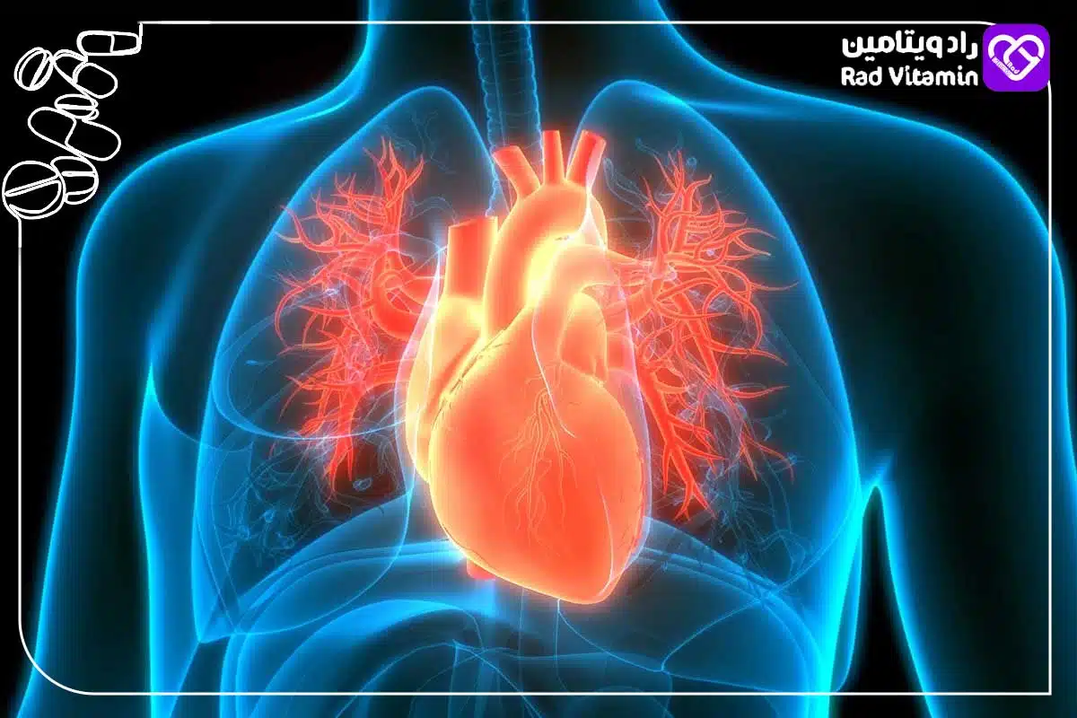 پشتیبانی از سلامت قلب