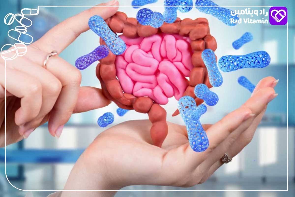 AHCC و سلامت روده؛ بررسی علمی نقش AHCC و AHCC 50+ در بهبود میکروبیوم و ایمنی گوارشی 2 اهمیت سلامت روده