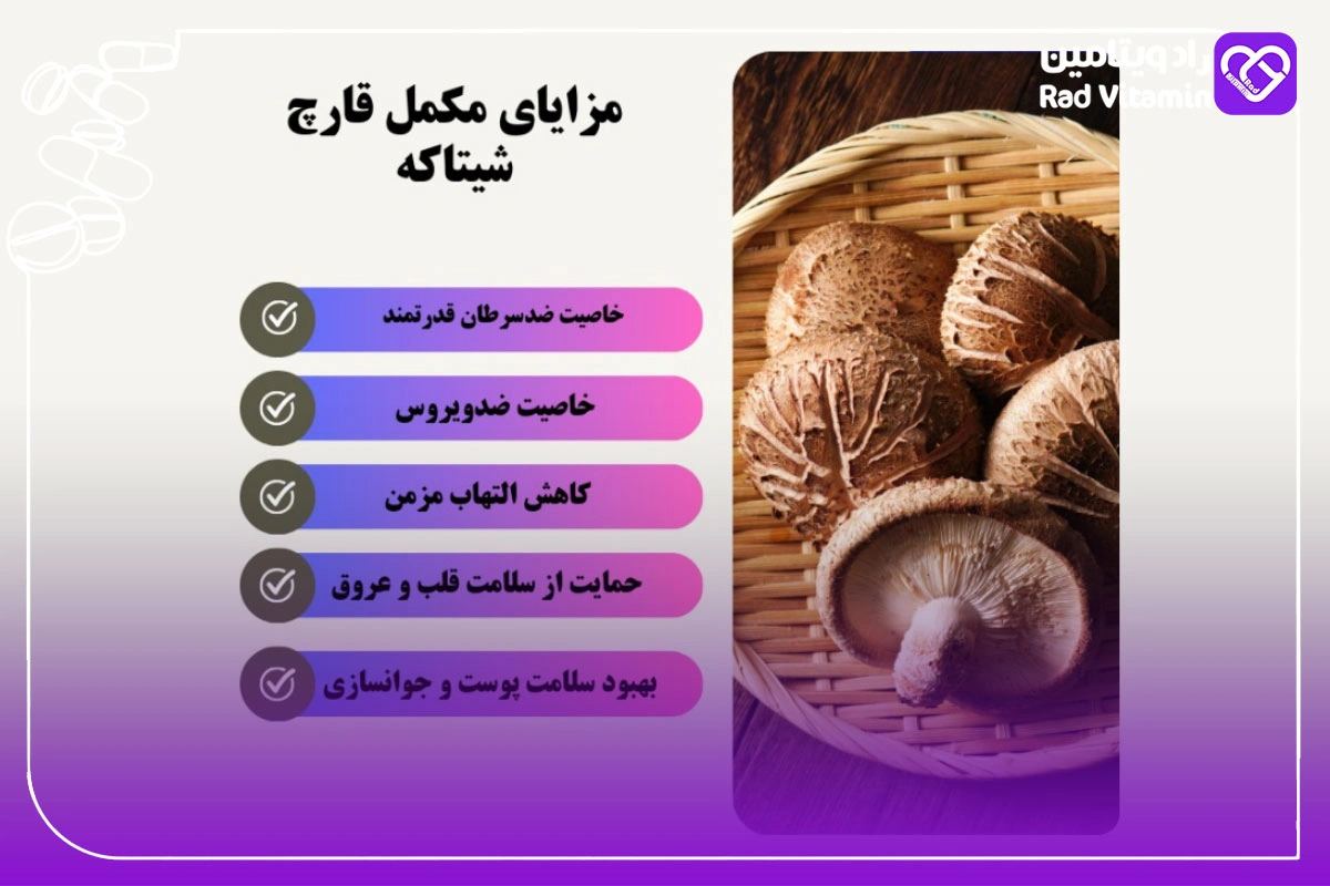 مزایای مکمل قارچ شیتاکه ۷۷۰ میلیگرم برای سلامتی عمومی