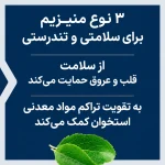 کپسول منیزیم ۵۰۰ میلی‌گرم Life Extension - بسته 100 عددی - Image 5
