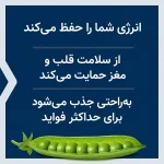 کپسول ب کمپلکس کامل Life Extension بسته 60 عددی - Image 4